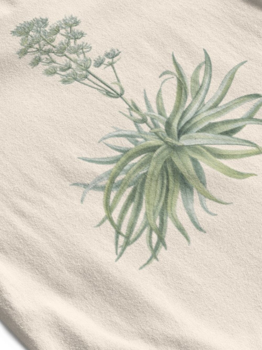 Naked-Stalked Crassula VTG Floral Print Short Sleeve Graphic Tee T-shirt S-XXL - Picture 2 of 5